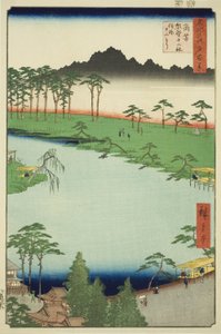 Kumano Junisha Heiligdom in Tsunohazu, Populair Bekend als Juniso (Tsunohazu Kumano Junisha, zokusho Juniso), uit de serie "Honderd Beroemde Uitzichten van Edo (Meisho Edo hyakkei)" door Utagawa Hiroshige