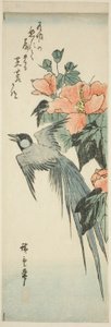 Langstaartige Vogel en Hibiscus door Utagawa Hiroshige