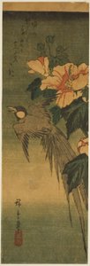 Langstaartvogel en hibiscus door Utagawa Hiroshige