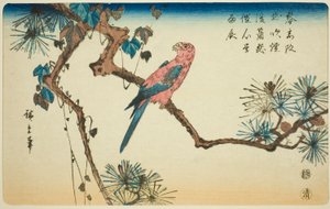 Ara op dennen tak door Utagawa Hiroshige