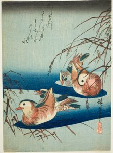 Mandarijneenden door Utagawa Hiroshige