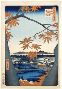  door Utagawa Hiroshige
