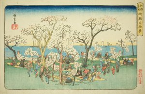 Feestvieren op Goten Heuvel (Gotenyama yukyo), uit de serie "Beroemde Plaatsen in Edo (Koto meisho)" door Utagawa Hiroshige