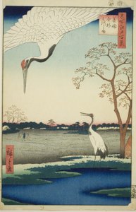 Minowa, Kanasugi, Mikawashima, uit de serie 