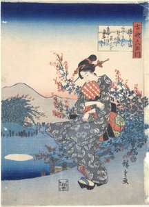 Noji: Zes Tama Rivieren door Utagawa Hiroshige