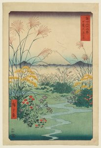  door Utagawa Hiroshige