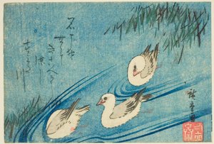 Scholeksters door Utagawa Hiroshige