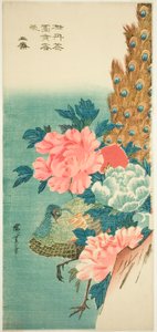 Pauw en pioenen door Utagawa Hiroshige