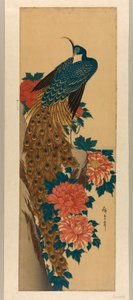 Pauw en pioenen door Utagawa Hiroshige
