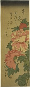 Pioenen door Utagawa Hiroshige