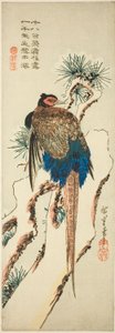 Fazant op een met sneeuw bedekte dennenboom door Utagawa Hiroshige