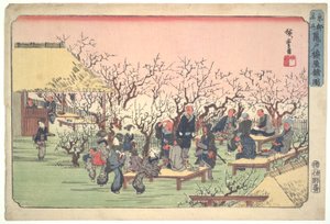 Pruimenbloesems in Kameido Tuin door Utagawa Hiroshige