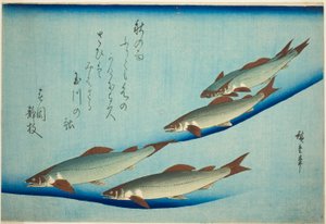 Rivierforel door Utagawa Hiroshige