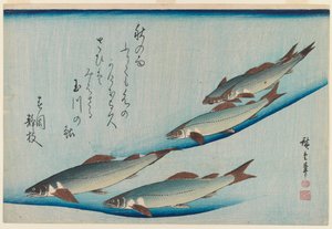 School van vijf zitforellen uit de serie Vissen, c.1835 door Utagawa Hiroshige