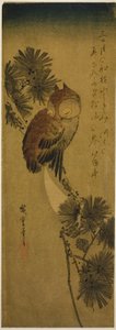 Kleine gehoornde uil, dennenboom en halve maan door Utagawa Hiroshige