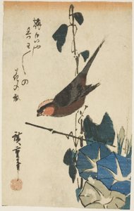 Mus en Morgenroosjes door Utagawa Hiroshige