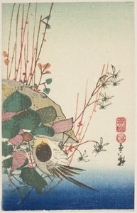 Mus op een hangende plantenbak door Utagawa Hiroshige