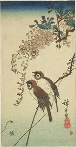Mussen en blauwe regen door Utagawa Hiroshige