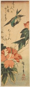 Zwaluw en Hibiscus door Utagawa Hiroshige
