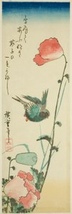 Zwaluw en klaprozen door Utagawa Hiroshige