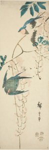 Zwaluwen en blauwe regen door Utagawa Hiroshige