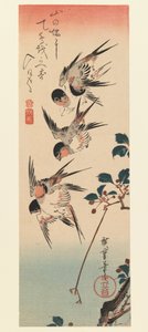 Tanzaku, Vier zwaluwen, 1832 door Utagawa Hiroshige