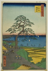 De Pantser-hangende den bij Hakkeizaka (Hakkeizaka Yoroikakematsu), uit de serie "Honderd beroemde vergezichten van Edo (Meisho Edo hyakkei)". door Utagawa Hiroshige