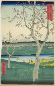 De Buitenwijken van Koshigaya in de Provincie Musashi (Musashi Koshigaya zai), uit de serie 