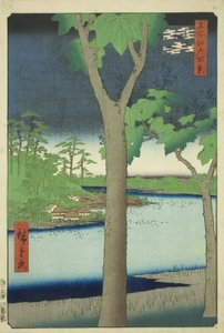 Het Paulownia-bos bij Akasaka (Akasaka Kiribatake), uit de serie "Honderd beroemde uitzichten van Edo (Meisho Edo hyakkei)"