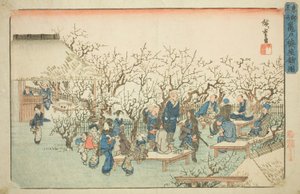 De pruimentuin in Komeido, uit de serie 