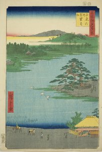 De kleedhangende den bij Senzoku-vijver (Senzoku no ike Kesakakematsu), uit de serie "Honderd beroemde uitzichten van Edo (Meisho Edo hyakkei)" door Utagawa Hiroshige