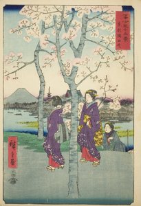 De Sumida-dijk in de oostelijke hoofdstad (Toto Sumida-zutsumi), uit de serie "Zesendertig gezichten op de berg Fuji (Fuji sanjurokkei)" door Utagawa Hiroshige