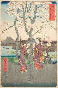 De Sumida-dijk in de oostelijke hoofdstad (Toto Sumida zutsumi), uit de serie "Zesendertig gezichten op de berg Fuji (Fuji sanjurokkei)"