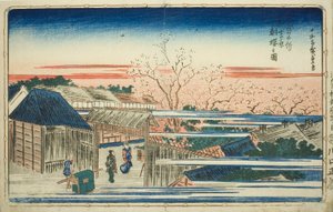 Uitzicht op de Ochtendkersenbloesems in de Nieuwe Yoshiwara, uit de serie "Beroemde Zichten van de Oostelijke Hoofdstad"