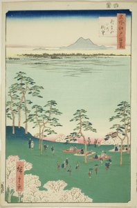 Uitzicht naar het noorden vanaf Asuka Hill, uit de serie "Honderd beroemde uitzichten van Edo" door Utagawa Hiroshige