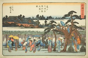 Wisteria in Volle Bloei in de Omgeving van het Kameido Tenmangu Heiligdom (Kameido Tenmangu keidai fuji hanazakari no zu), uit de serie "Nieuw Geselecteerde Beroemde Plaatsen in Edo (Shinsen Edo meisho)"