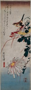Winterkoning en Chrysanten door Utagawa Hiroshige