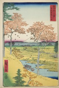 Yuhi-heuvel bij Meguro in de oostelijke hoofdstad (Toto Meguro Yuhigaoka), uit de serie "Zesendertig gezichten op de berg Fuji (Fuji sanjurokkei)"