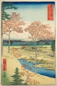 Yuhi-heuvel bij Meguro in de oostelijke hoofdstad (Toto Meguro Yuhigaoka), uit de serie "Zesendertig gezichten op de berg Fuji (Fuji sanjurokkei)"