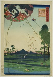 Vliegers van Fukuroi en Ver Uitzicht op Akiba in de Totomi Provincie, uit de serie "Honderd Beroemde Uitzichten in de Verschillende Provincies"