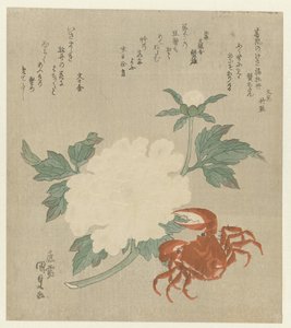 Pioenroos met krab door Utagawa Kunisada (I)