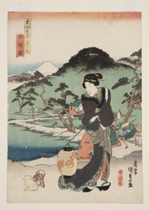 Uitzicht op Hiratsuka