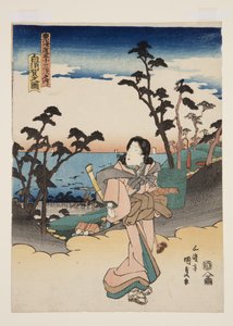 Uitzicht op Shirasuka