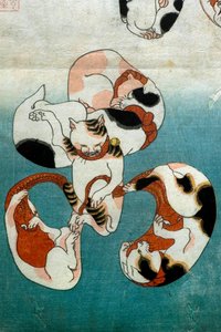 Octopus Serie Katten vormen geschreven karakters