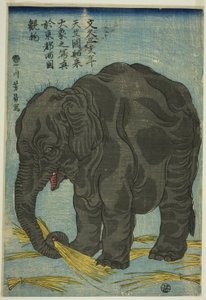 Afbeelding van grote olifant uit India, een attractie in Ryogoku in de oostelijke hoofdstad door Utagawa Yoshikazu
