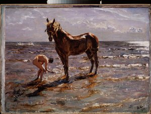 Het bad van het paard