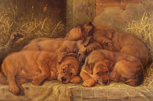 Puppyliefde door Valentine Thomas Garland