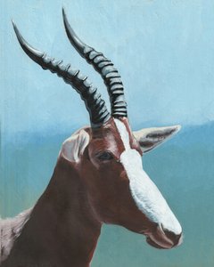 Majestueus portret van een blesbok