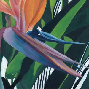 Levendige paradijsvogel