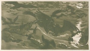 Roofvogels, 1893